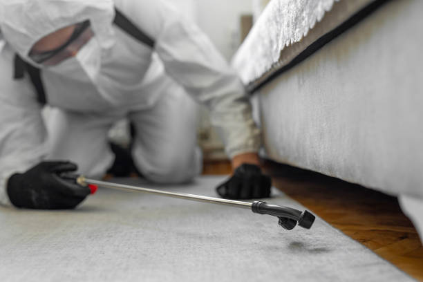 Professional Pest Control technician working in Alma, GA