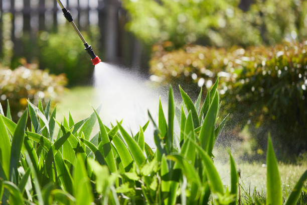 24/7 Emergency Rodent Control experts in Alma, GA