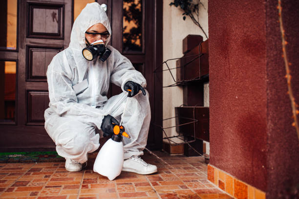 Reliable Rodent Control contractor in Alma, GA by Nex Pest Control