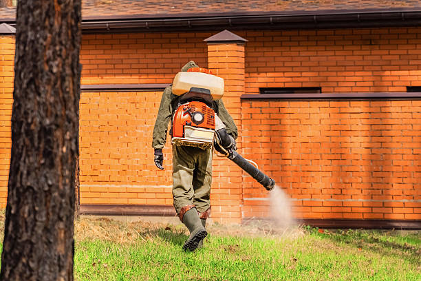 Trusted Mosquito Control service in Alma, GA - Nex Pest Control